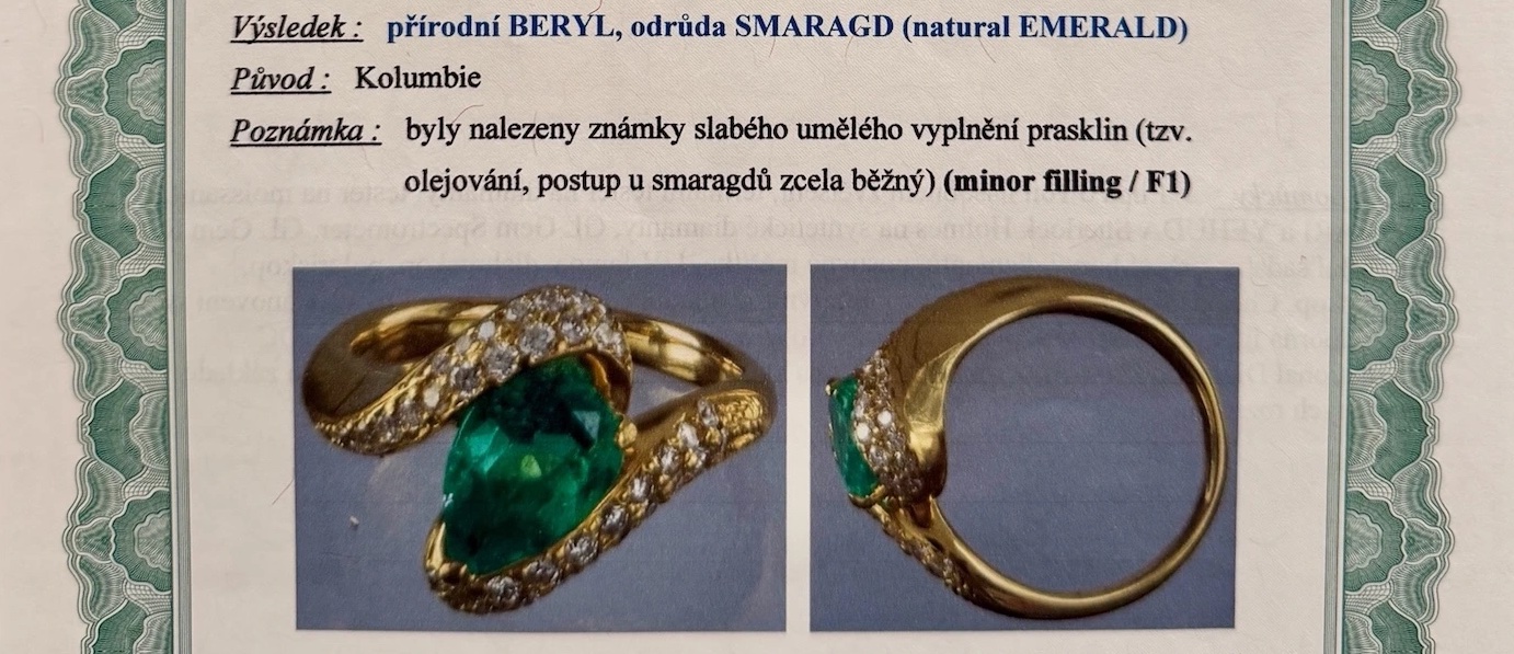 odborný posudek